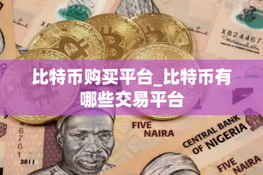 比特币购买平台_比特币有哪些交易平台