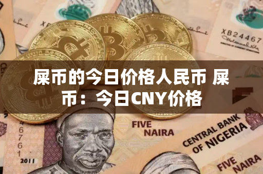 屎币的今日价格人民币 屎币：今日CNY价格