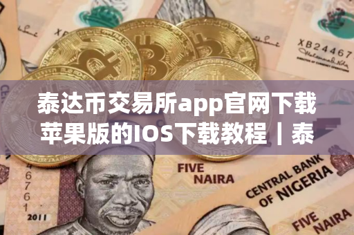 泰达币交易所app官网下载苹果版的IOS下载教程｜泰达币交易所app安卓下载