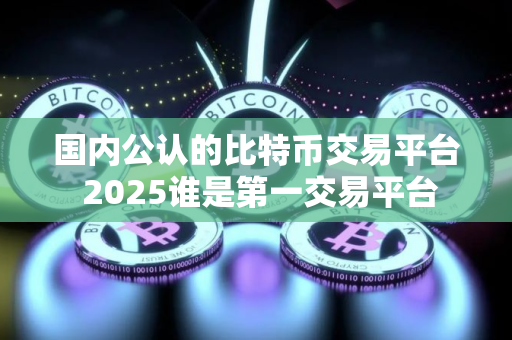 国内公认的比特币交易平台 2025谁是第一交易平台