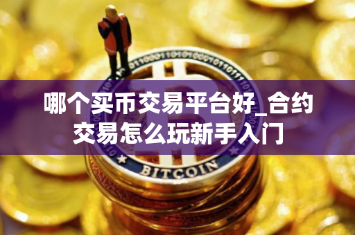 哪个买币交易平台好_合约交易怎么玩新手入门
