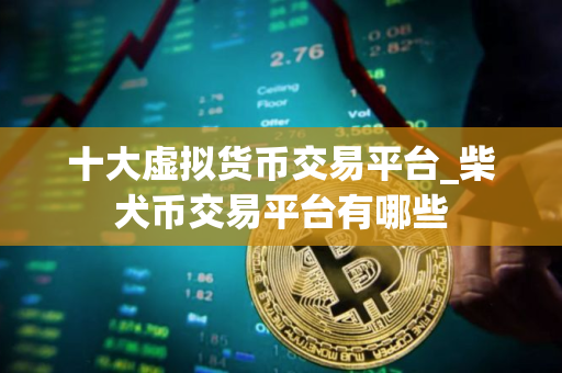 十大虚拟货币交易平台_柴犬币交易平台有哪些