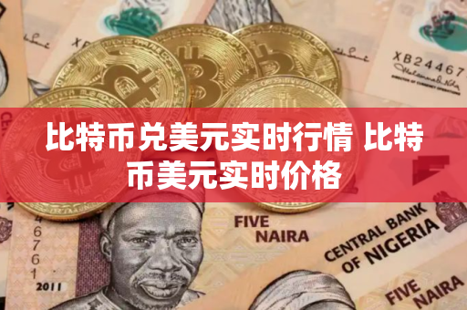 比特币兑美元实时行情 比特币美元实时价格