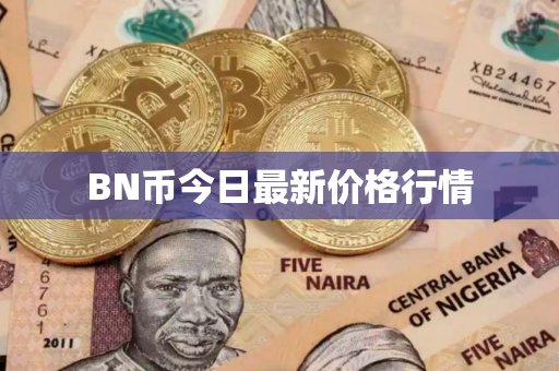 BN币今日最新价格行情
