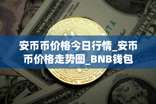 安币币价格今日行情_安币币价格走势图_BNB钱包