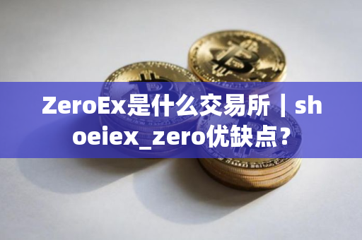 ZeroEx是什么交易所｜shoeiex_zero优缺点？