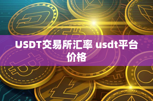 USDT交易所汇率 usdt平台价格
