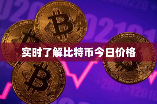 实时了解比特币今日价格