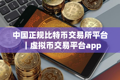 中国正规比特币交易所平台｜虚拟币交易平台app