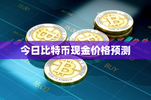 今日比特币现金价格预测