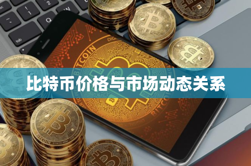 比特币价格与市场动态关系