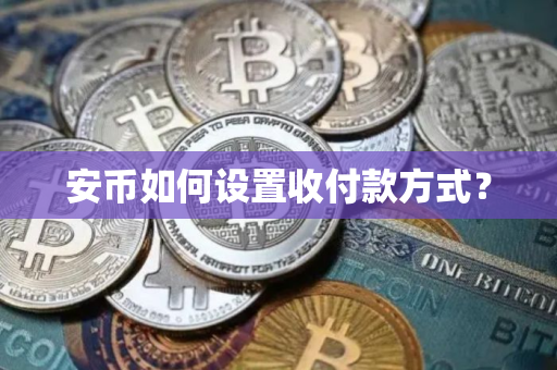 安币如何设置收付款方式？