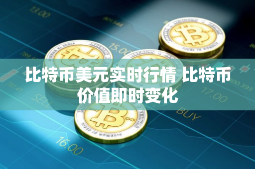 比特币美元实时行情 比特币价值即时变化