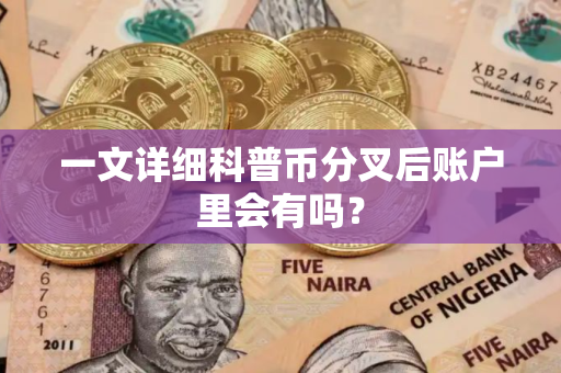 一文详细科普币分叉后账户里会有吗？