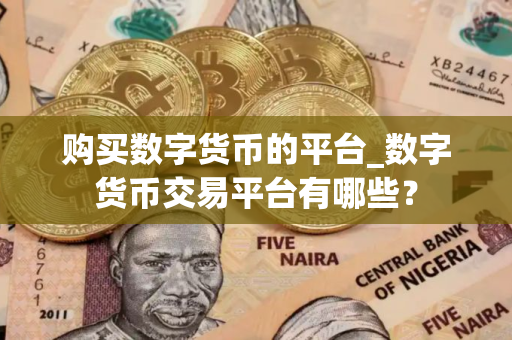 购买数字货币的平台_数字货币交易平台有哪些？