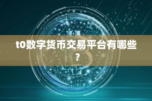 t0数字货币交易平台有哪些 ? t0数字货币交易平台有哪些 ?
