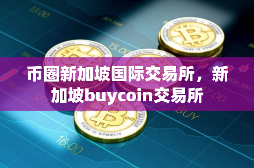 币圈新加坡国际交易所，新加坡buycoin交易所