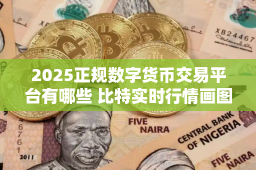 2025正规数字货币交易平台有哪些 比特实时行情画图软件