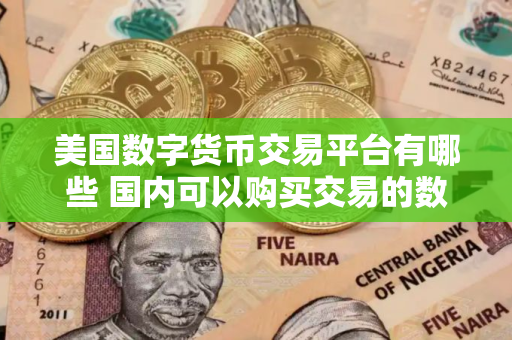 美国数字货币交易平台有哪些 国内可以购买交易的数字货币交易平台有哪些