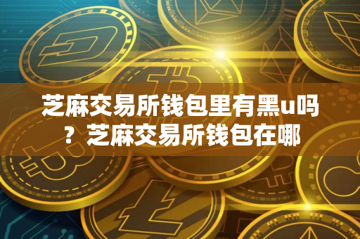 芝麻交易所钱包里有黑u吗？芝麻交易所钱包在哪