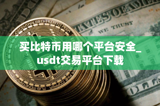 买比特币用哪个平台安全_usdt交易平台下载