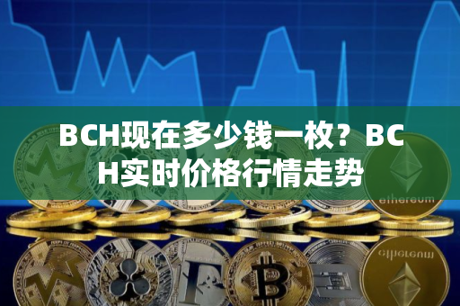 BCH现在多少钱一枚？BCH实时价格行情走势