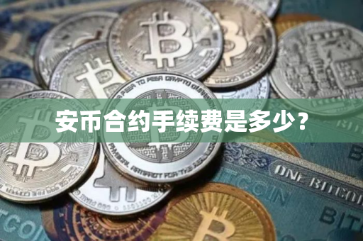 安币合约手续费是多少？