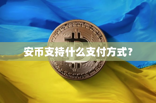 安币支持什么支付方式？