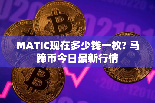 MATIC现在多少钱一枚? 马蹄币今日最新行情