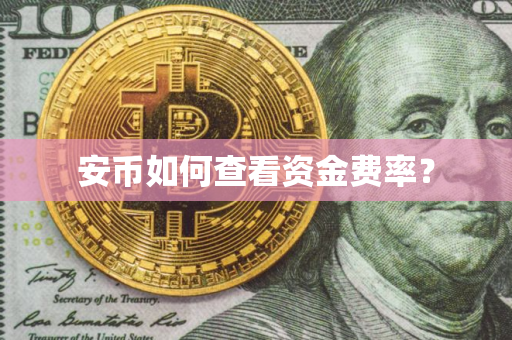 安币如何查看资金费率？