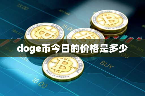 doge币今日的价格是多少