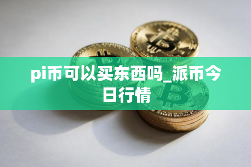 pi币可以买东西吗_派币今日行情