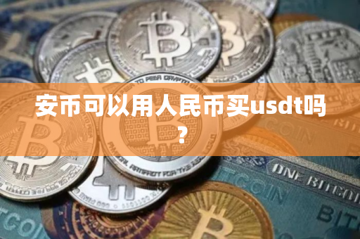 安币可以用人民币买usdt吗？