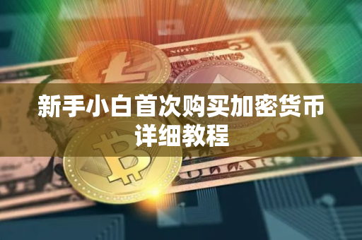 新手小白首次购买加密货币详细教程