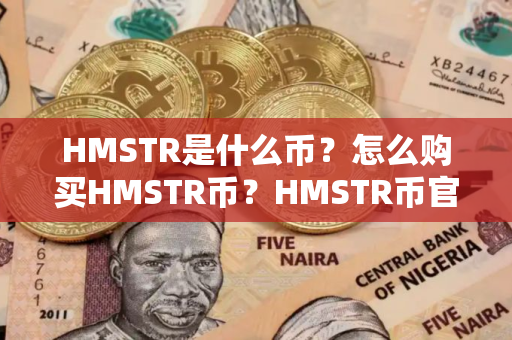 HMSTR是什么币?怎么购买HMSTR币?HMSTR币官网总量和币种概念介绍 HMSTR是什么币?怎么购买HMSTR币?HMSTR币官网总量和币种概念介绍