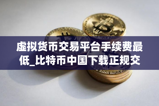 虚拟货币交易平台手续费最低_比特币中国下载正规交易平台