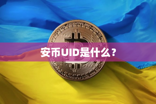 安币UID是什么？