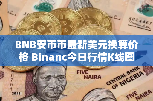 BNB安币币最新美元换算价格 Binanc今日行情K线图