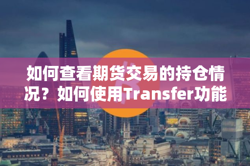 如何查看期货交易的持仓情况？如何使用Transfer功能？