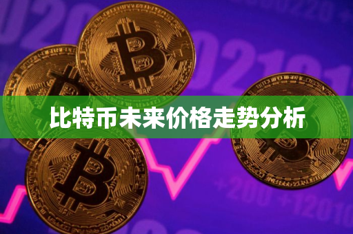 比特币未来价格走势分析