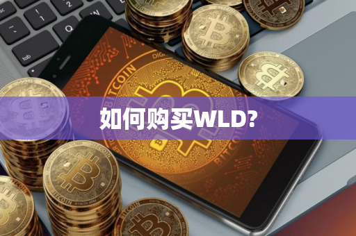 如何购买WLD?
