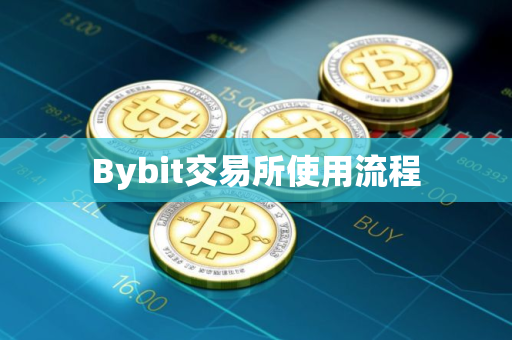 Bybit交易所使用流程
