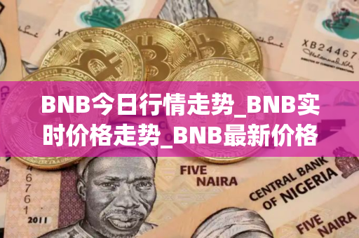 BNB今日行情走势_BNB实时价格走势_BNB最新价格