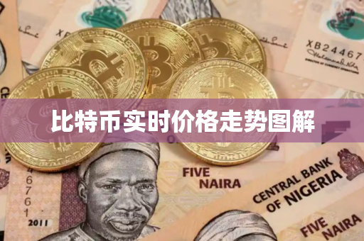 比特币实时价格走势图解