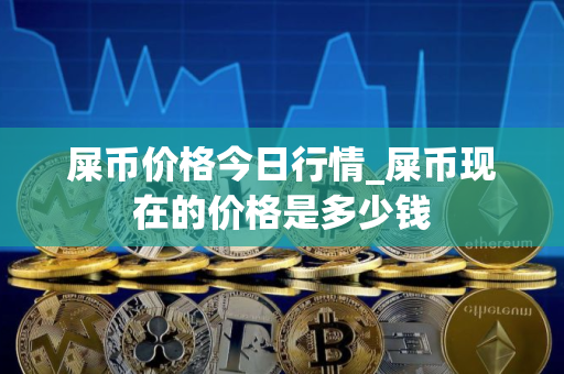屎币价格今日行情_屎币现在的价格是多少钱
