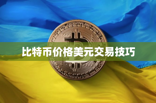 比特币价格美元交易技巧