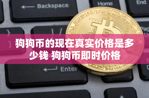 狗狗币的现在真实价格是多少钱 狗狗币即时价格