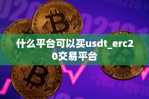 什么平台可以买usdt_erc20交易平台 什么平台可以买usdt_erc20交易平台