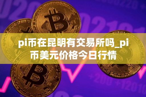 pi币在昆明有交易所吗_pi币美元价格今日行情