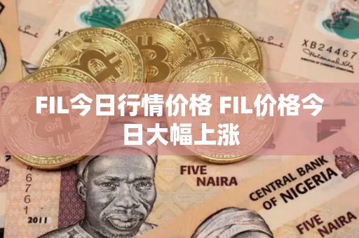 FIL今日行情价格 FIL价格今日大幅上涨